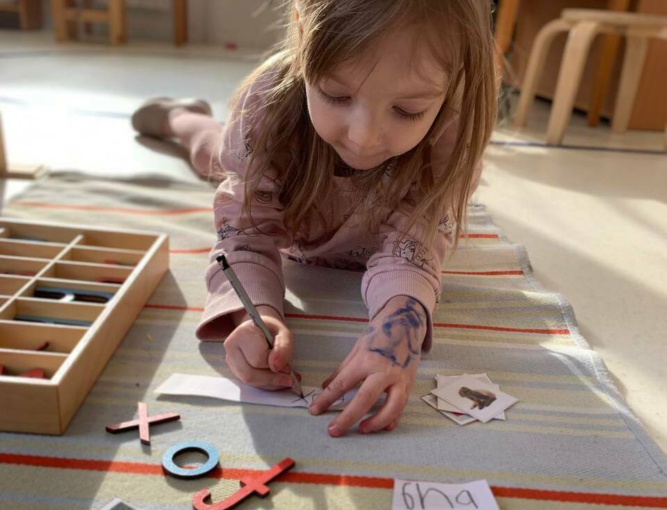 Описание изображения